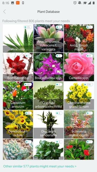 Flower Care - Preview 4