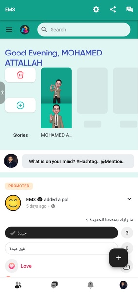 EMS - Preview 6
