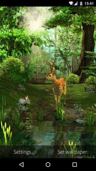 Dawn Forest 3D - Preview 3