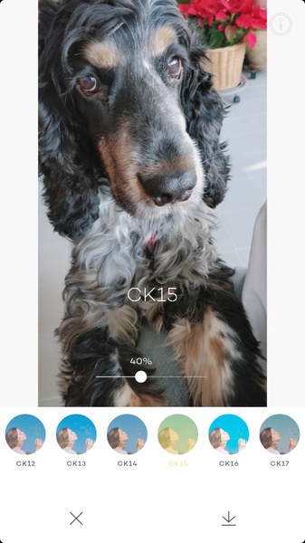 PICTAIL - Cykik - Preview 4