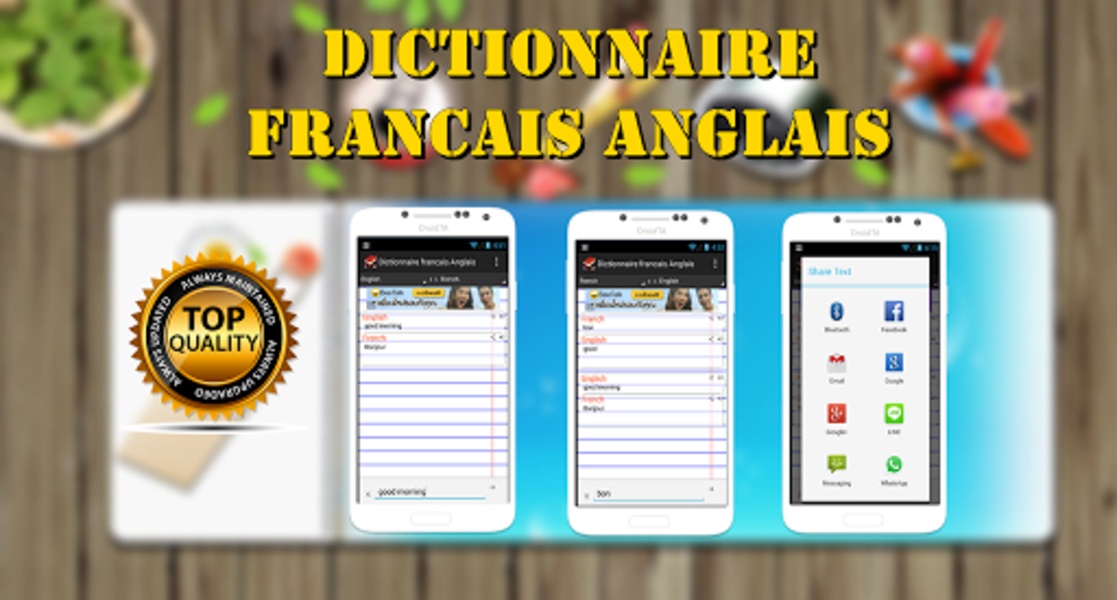 Dictionnaire francais Anglais - Preview 3