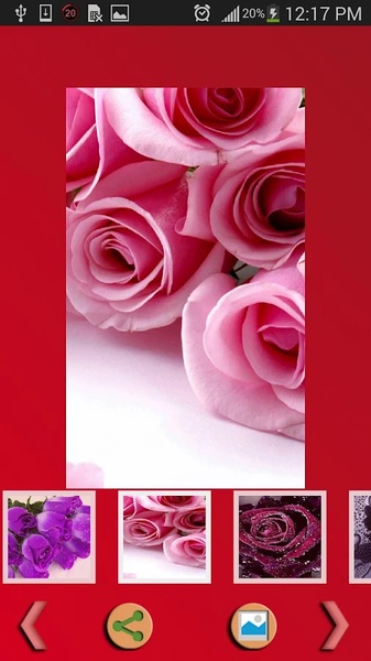 Rose Wallpaper - Preview 4