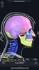 Skeleton Anatomy Pro. screenshot 11