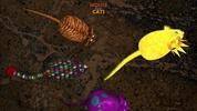 Mouse for Cats screenshot 13
