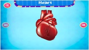 Kids Human Body Parts: Learning Game screenshot 4