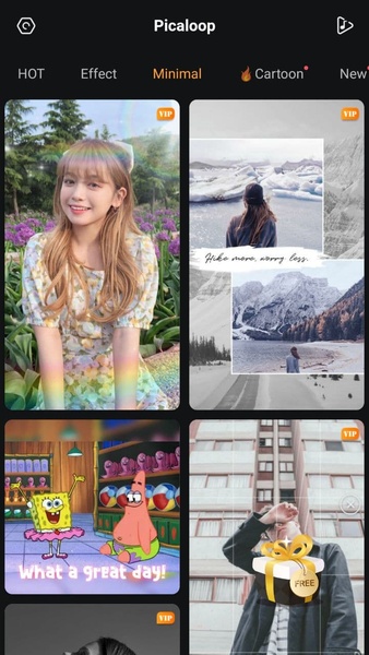 Picaloop - Preview 6