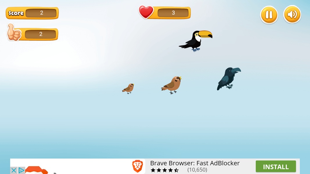 Bird Rescue - Preview 2