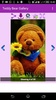 Teddy Bear Gallery screenshot 2
