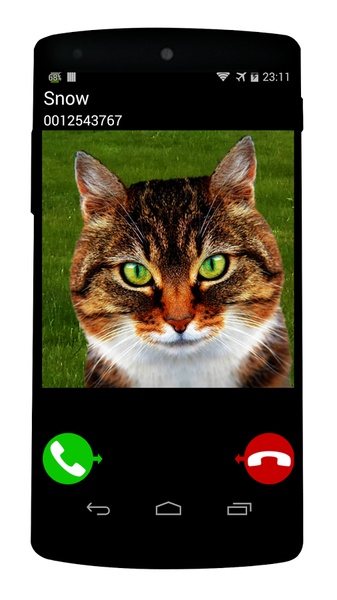 Fake Call Cat - Preview 1