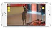 AR Animals - Using Ar Core screenshot 4