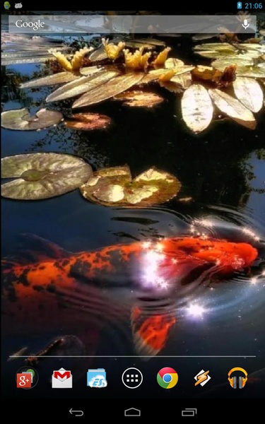 Koi Fish in the Pond - Preview 4