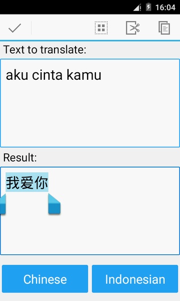 Indonesian Chinese Translator - Preview 2