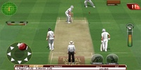 Real Cricket Test Match Edition screenshot 14