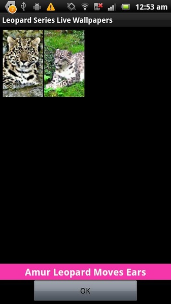 Leopard Series Live Wallpapers - Preview 2