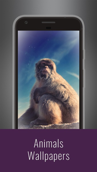 Animals Wallpapers - Preview 8