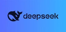 DeepSeek feature