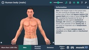 Human body (male) 3D scene screenshot 6