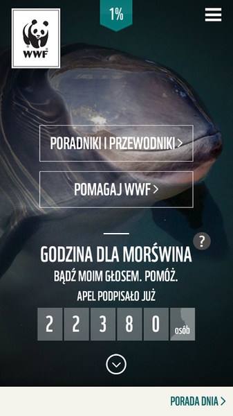 WWF Poradnik - Preview 5