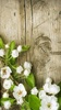 Spring Flowers Live Wallpaper screenshot 6