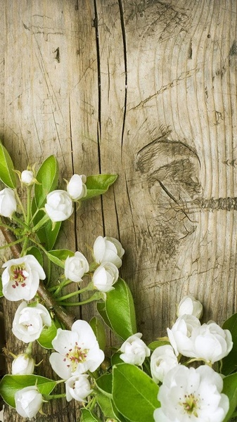 Spring Flowers Live Wallpaper - Preview 6