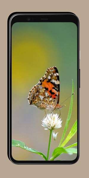 Butterfly Wallpaper OurcreativeApps - Preview 8