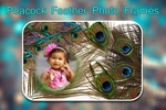 Peacock Feather Photo Frames screenshot 3