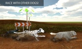 Greyhound Dog Racing 3D screenshot 16
