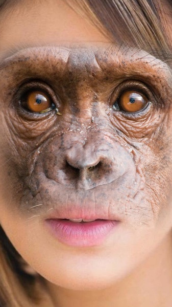 Animal Face Changer - Preview 5