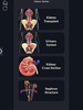Urinary System screenshot 1