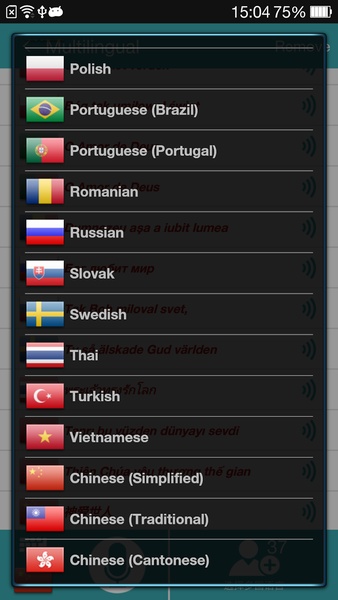 Translate Voice - Preview 4