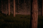 In The Woods screenshot 4