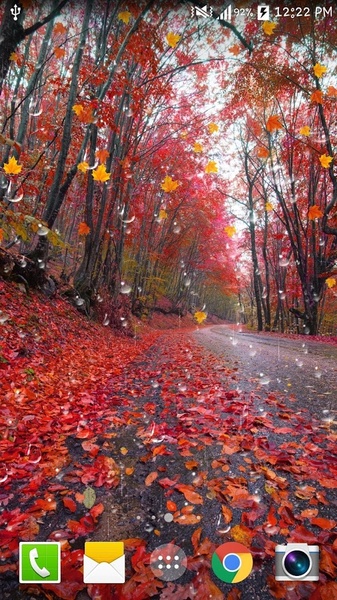 Maple Droplets Live Wallpaper - Preview 3