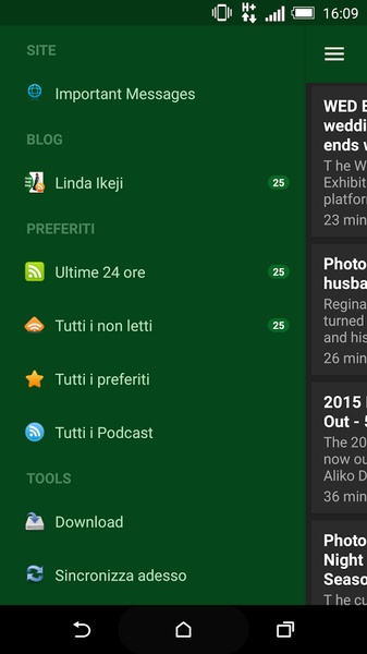 Linda Ikeji Blog - Preview 3