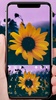 Sunflower screenshot 5