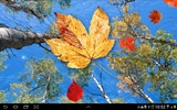 Autumn Leaves Live Wallpaper screenshot 1