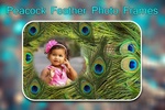 Peacock Feather Photo Frames screenshot 2