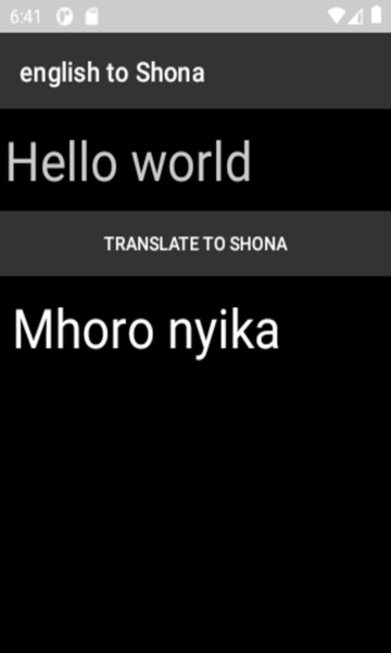 english to Shona translator - Preview 4