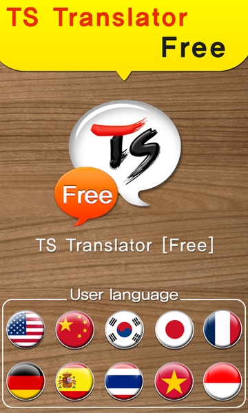 TS Translator - Preview 6