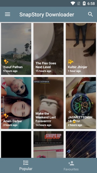 SnapStory Downloader - Preview 1