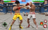 Boxing King Fury 2019 PRO: Boxing Fighting Club screenshot 8