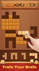 Block Puzzle: Wood Jigsaw Game screenshot 8