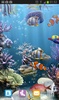 The real aquarium - HD screenshot 17