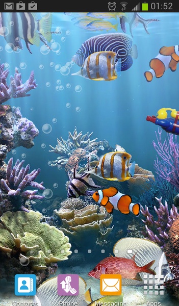 The real aquarium - HD - Preview 16