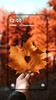 Autumn Wallpaper screenshot 4