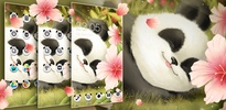 Cute Baby Panda Theme screenshot 1