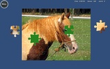 Puzzle Horses screenshot 5