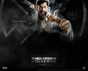 Wolverine screenshot 1