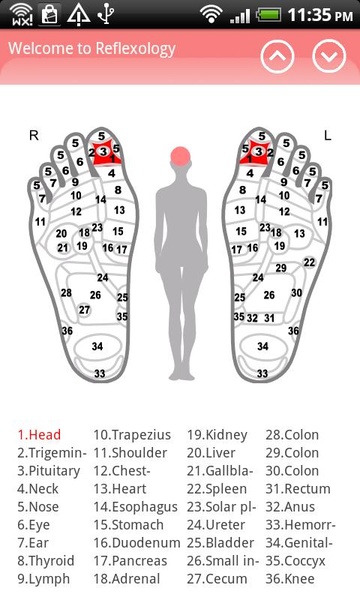 Reflexology chart - Preview 2