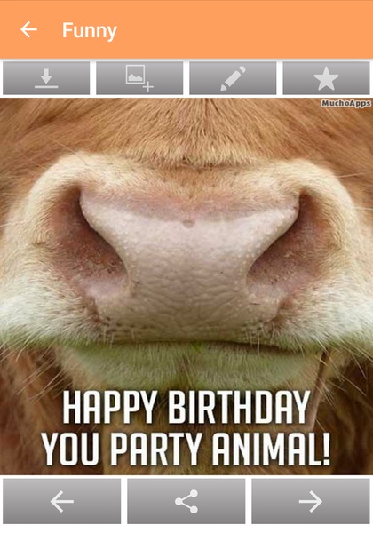 Happy Birthday quotes - Preview 10
