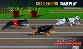 Crazy Dog Racing Fever screenshot 6